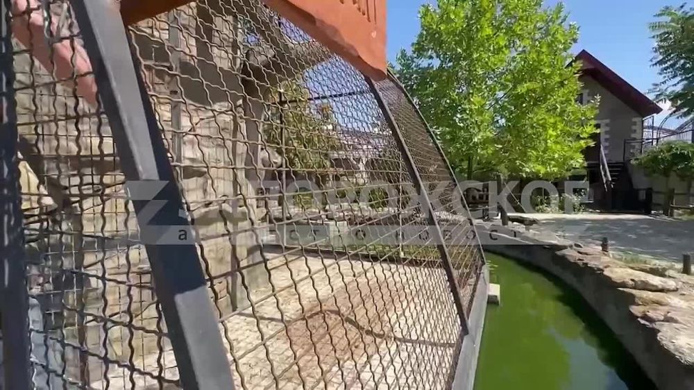 ������������ ������� ���������� ����������� �� �������� ���������� ������