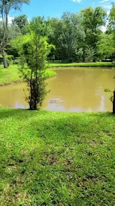 ��� �������� ���������� ������ � ���������