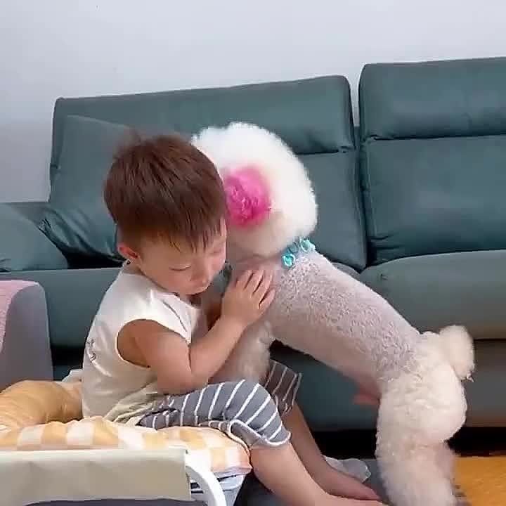 ������ ����� ������� �� ��� �� �������