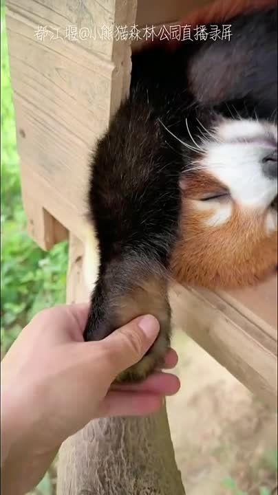 �� �����, ��� � ������� ����� ��� ��������� �� �����? � ������� ���� ������ ��������� ������� ���� ����, ������� ��� ����������, ����� �������� ���� �� �������� � ������� ����� ��� �����