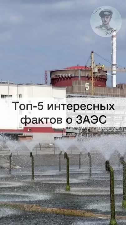���-5 ������ � ����������� ������� ��������������