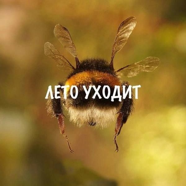 �������������� ��. ��������� ��������