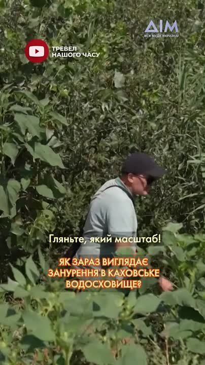 ��� ���������� ������������� ������������ � ���