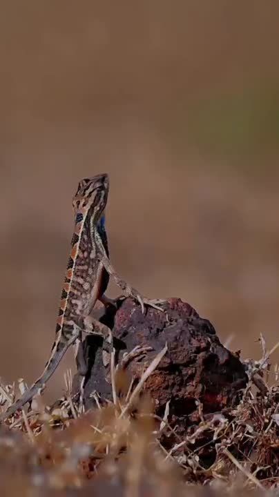 ������� � ������� ������
