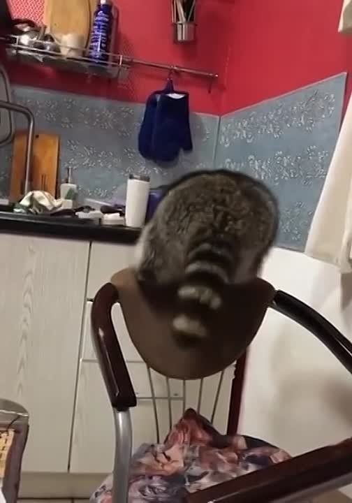 ������ ����, ������! �������� ��� ��� � ��������� ����������!