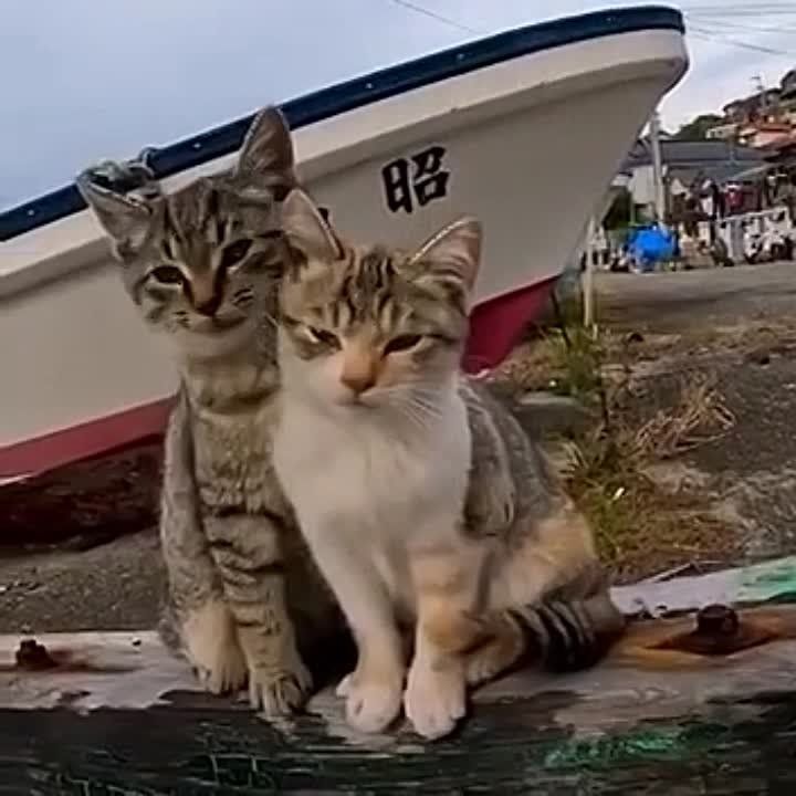 ����� ����� ���� ������� ������ � ��������� �����
