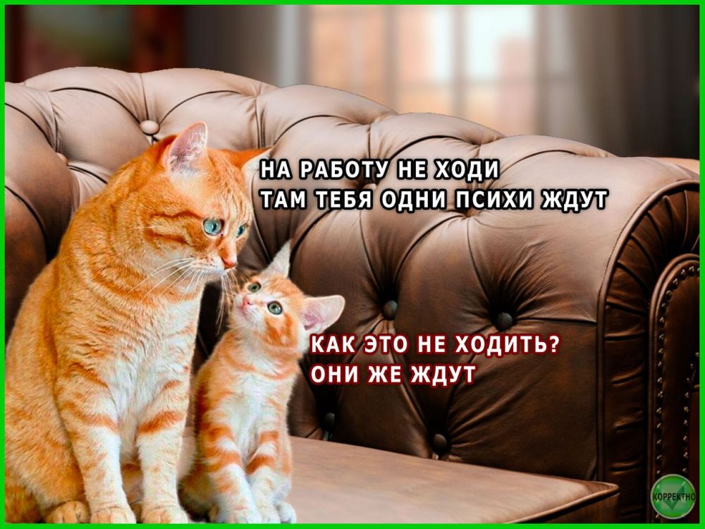 ���������������� ��������� � ��������