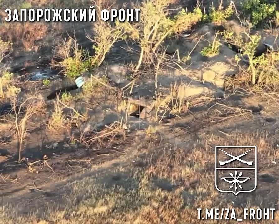 ����� �����: ����������� ������� � ������� ���������� �� ����������� �����������