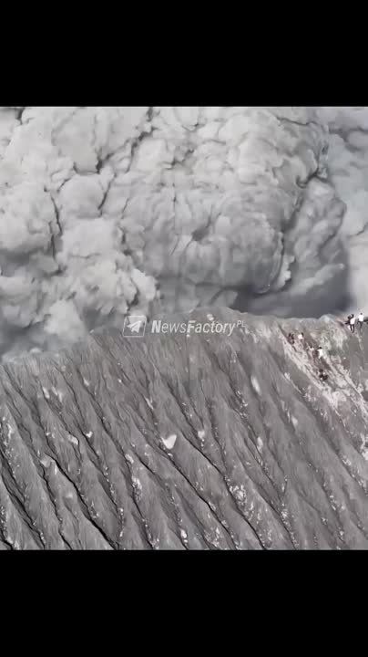 ���������� ������ �� ������ ������� ������ � ���������, �������� �� �������������� � ����� ����������