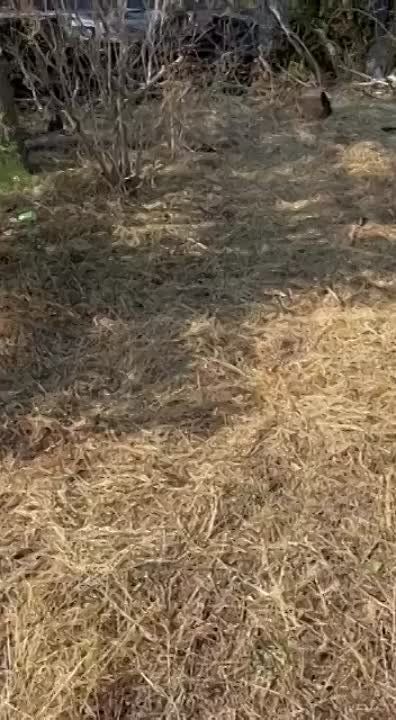 ������������ ���-�� �� ������ ���� ���
