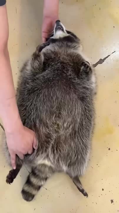 ������ ����, ������! �������� ��� ��� � ��������� ����������!