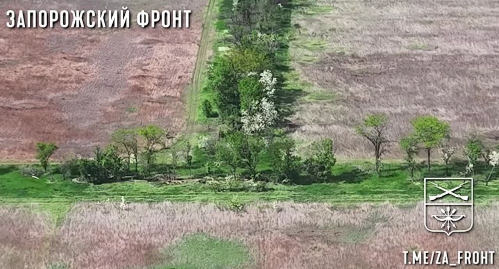 ����� ������ ������ ������ "����������" �� ����������� ������� FPV-������� ���������� �� ����������� �����������