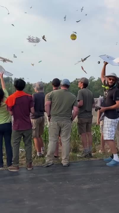 ������ �� ��������� Flite Fest � ���