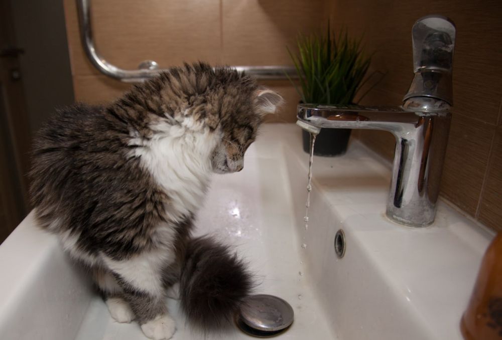 � ���������� �� ����� ����� ������� �������� �������� ���� ��-�� ��������� �����