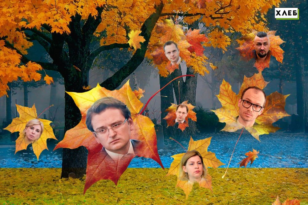 � ����� ������� �����������