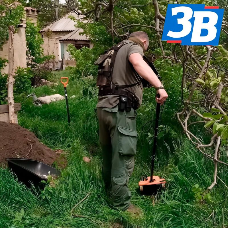 ����� � �������� ������: ���� ������������� ���������� ����� �����