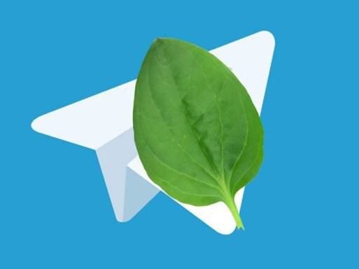 �������� ���� � ������ Telegram