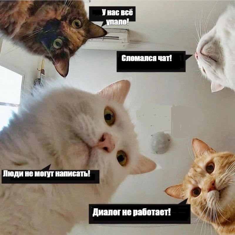 ������� ����������!. ����� �������� ����� � ������ Telegram, � ��� "������" ��� ��� "�������� �����"