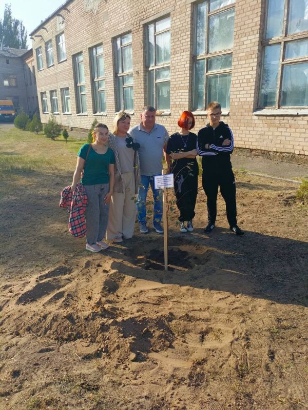 ������ ��������: �� ��� ������������ ������������� ����������� ������� � ������� ������� ��������������� ���������� ������...