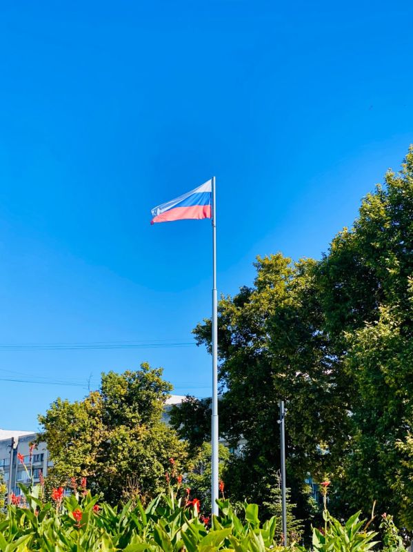 ���� ������: �� �����, ��� � 2014-� ���� ������ ��������� ��������, ��� ����� ����� ������ ������� ���-������� ��������������� ������� ������������� � ������� �� ������� �����