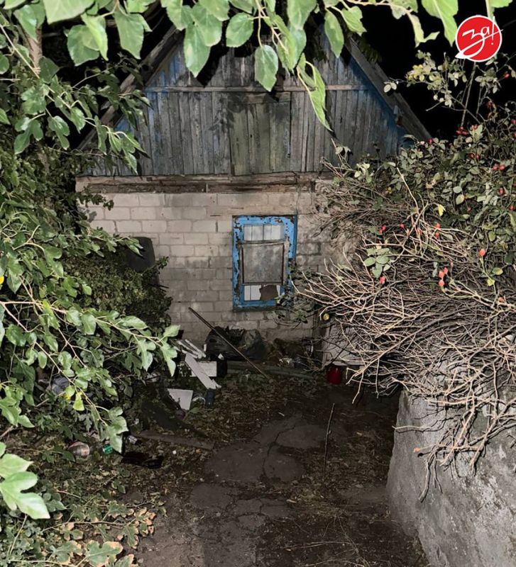 � ���������� 38-������ ������� ���� ������ ���� � ������� ���� � ��������� ���