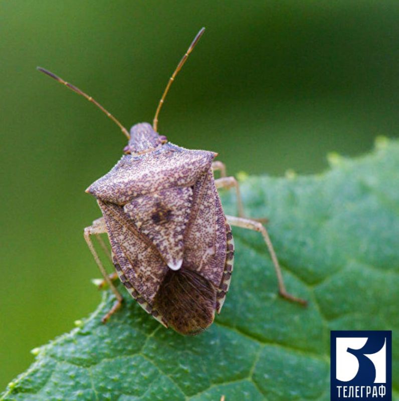 � 2024 ���� � ����������� ������� ����������� 30 ����������� ���