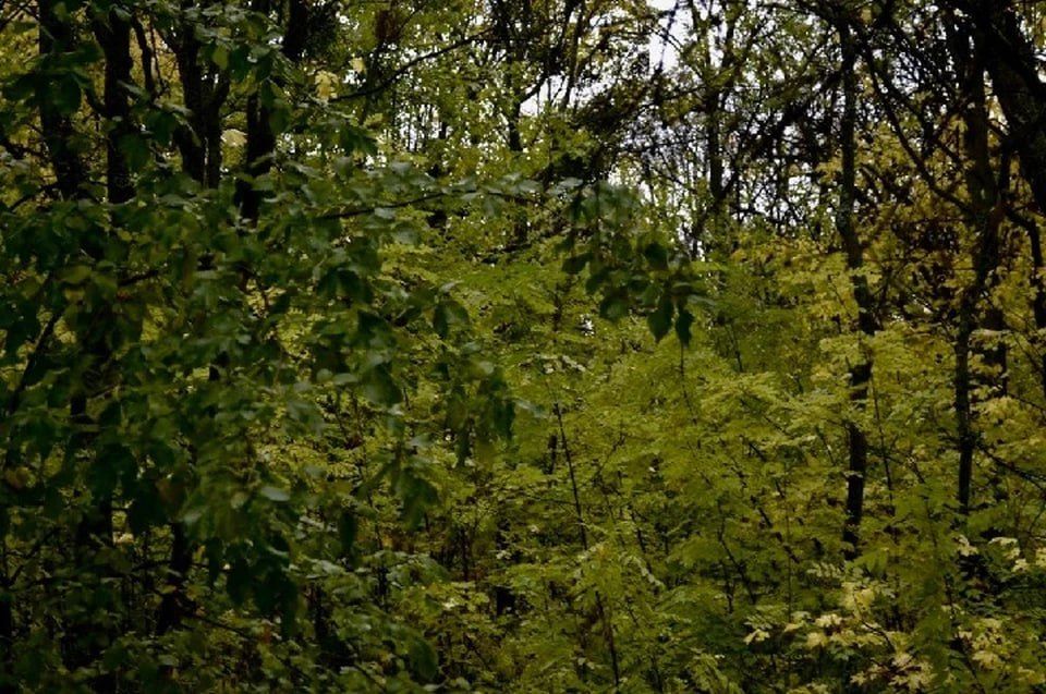 � ����������� ������� � 2024 ���� ���������� 30 ����������� ���