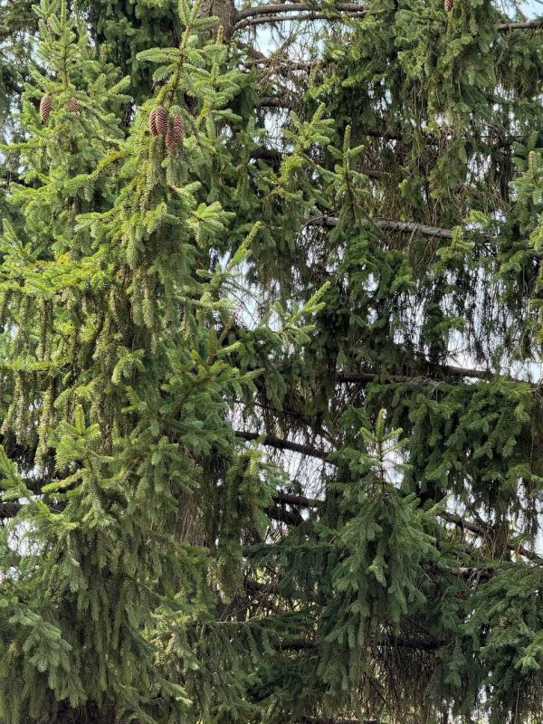 Доброе утро