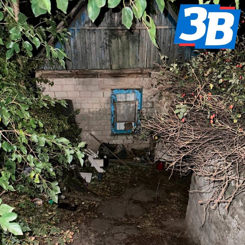 ���� ���� � �������� ���� � ��������� ���: ������������� �������� � ����������