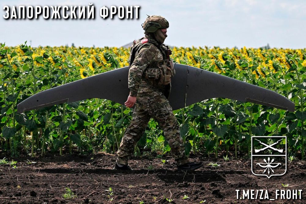 ���� ������� ���� � ������������ �����������