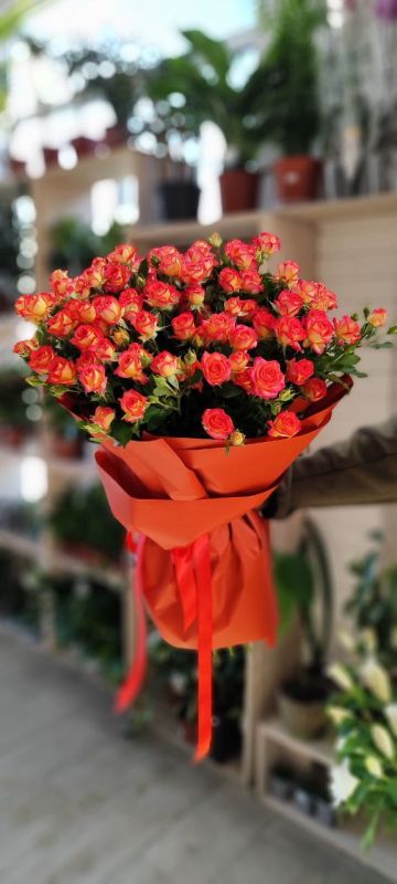 ��������� �������. �� ��������� �� ������: