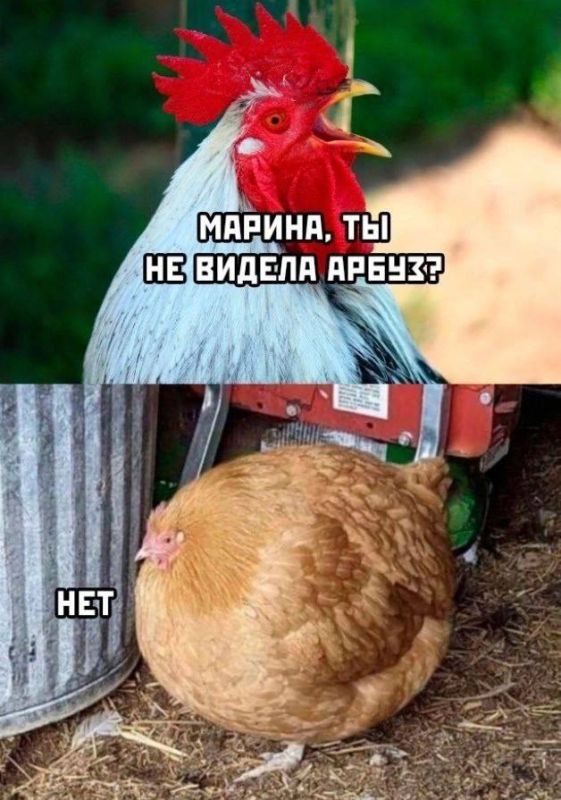 ������� ����� �������� � ���������� �������� � ��������, � ��� � ����� �� ������������ ������ ��������� ����� ����������� ������