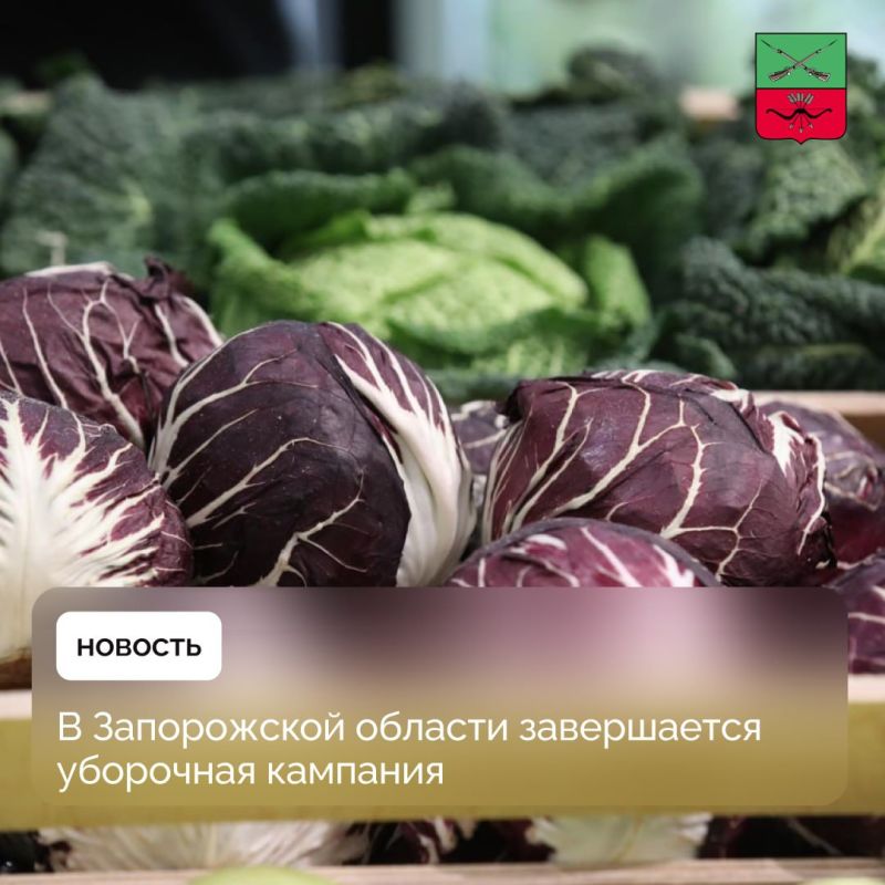 487 ����� ���� ������������� ������� � ����������� �������