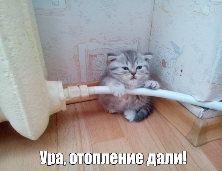 ��������� � ������ ������ �������� 7 �������