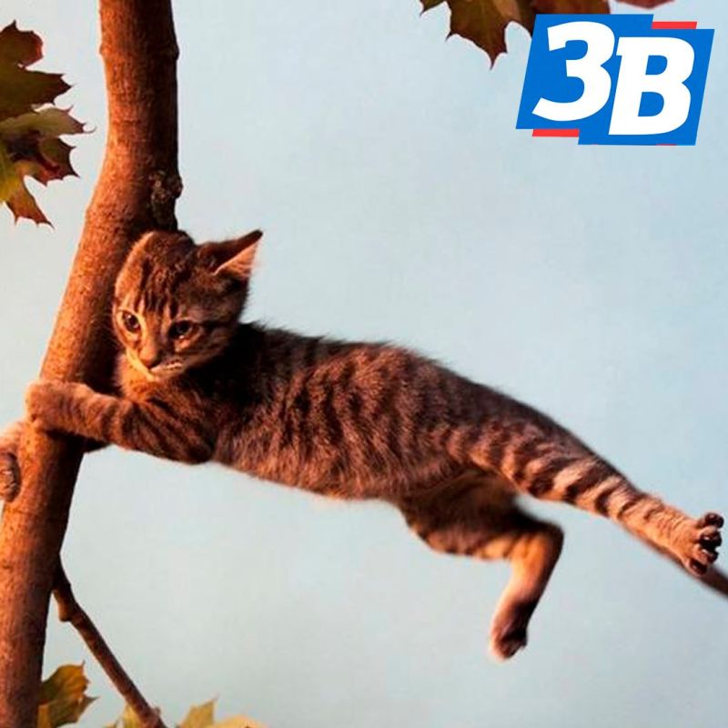 � ����������� ������� ��������� ��������� ��������������