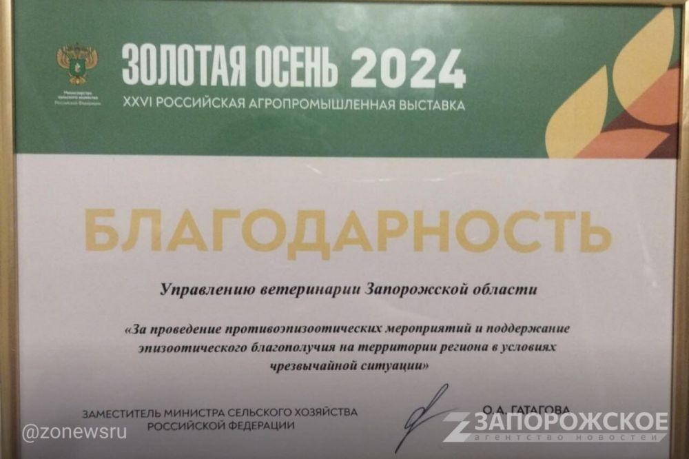 �������������� ����������� ������� ��������� �� �������� �������� �����-2024� � ������