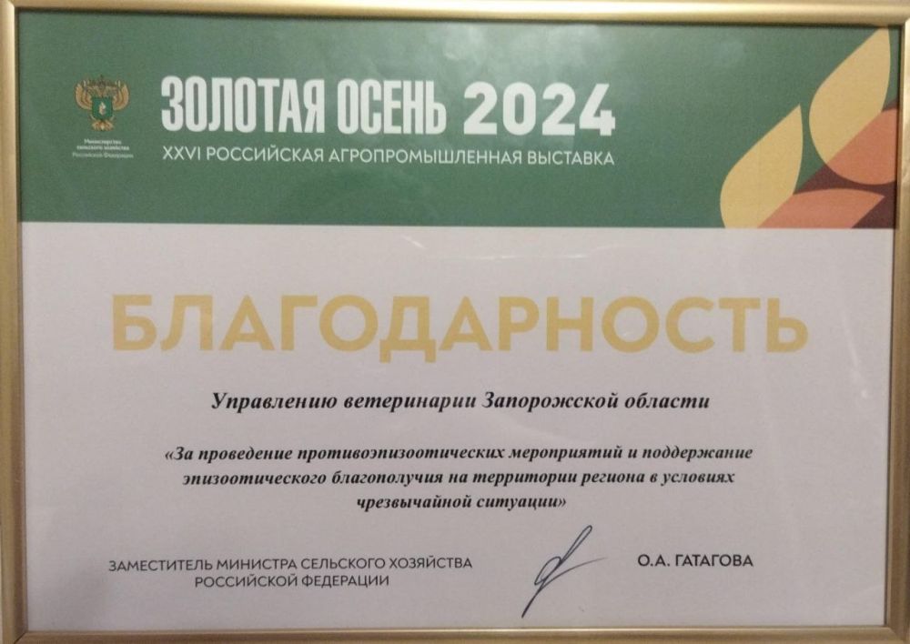 � ���� �������� 26-� ���������� ���������������� �������� "������� �����" ���������� ������ ������� ������� ����������...
