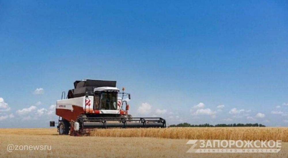 Мишустин: АПК России растет и удерживает лидирующие позиции в мире