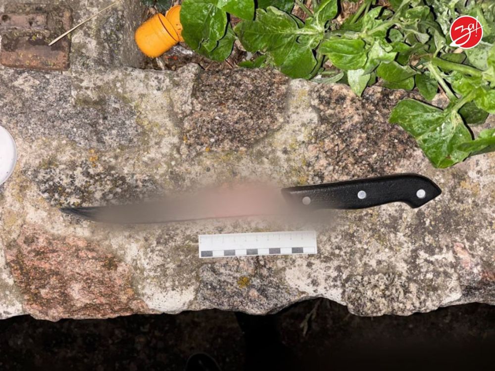 Житель Мелитополя подозревается в убийстве на почве ревности