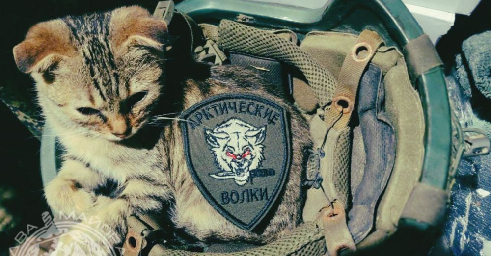 ������ ��� � �����. ��������� ������ ����� ������