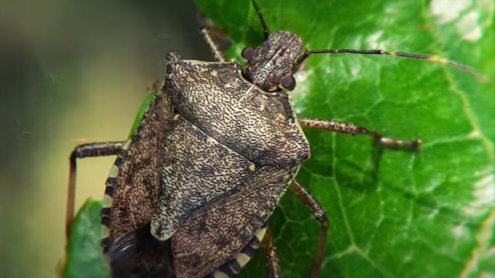 ������� ��������� � �������� ��������� �������� �������� ����� �� ��� ��