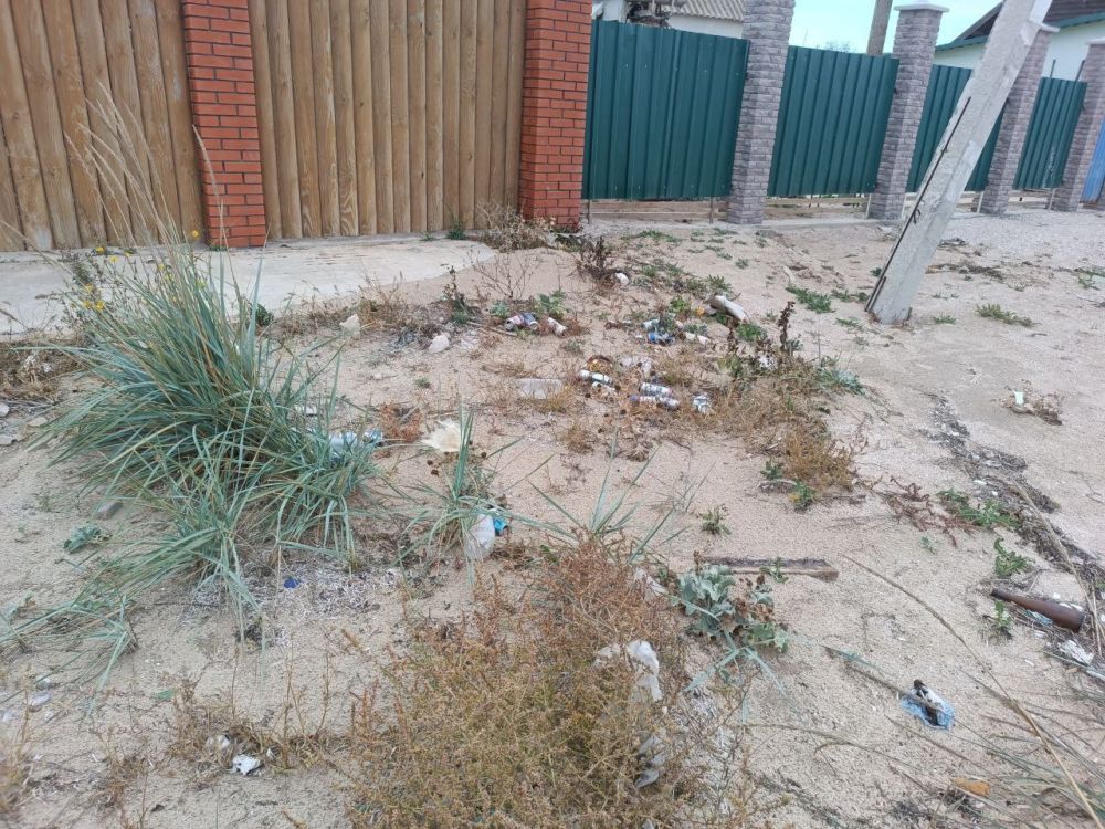 Сбор мусора на Федотовой косе