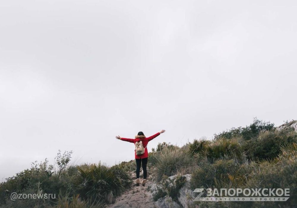 ������������� ����� �� ������ ����� 2024 ���� ����� �� 11%