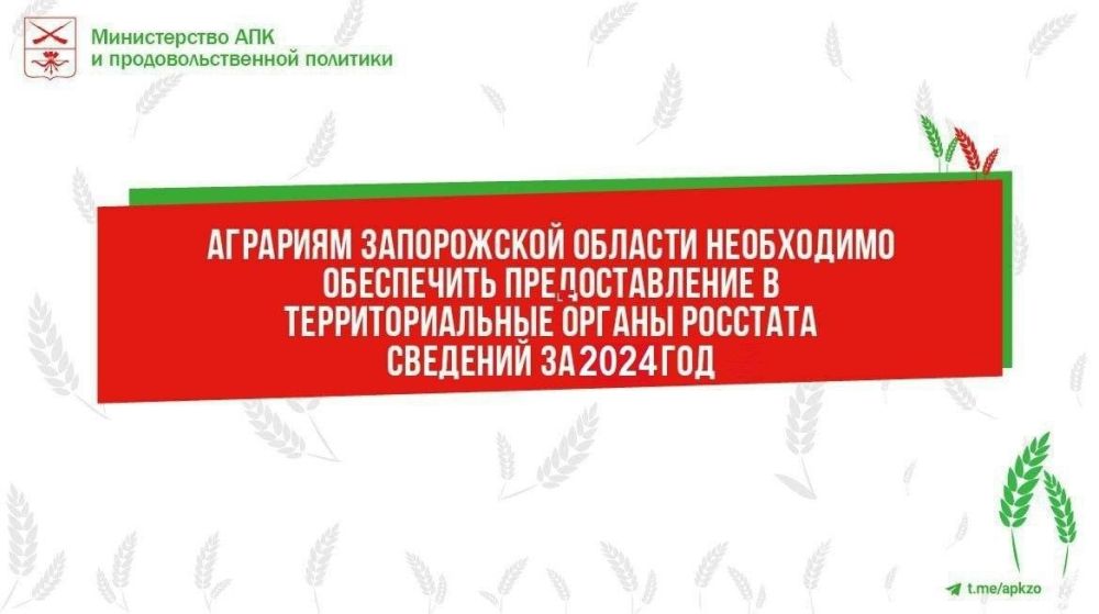 �������������� � ��������������� ������ �������� �������� �� 2024 ���