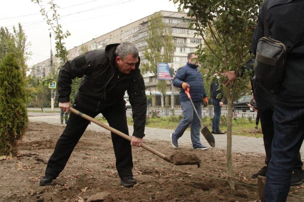 ������ ��������: ������� ����������� �������� ��������� ���������������� ��������, ��������������� ���������� ������ � �������������� �������������