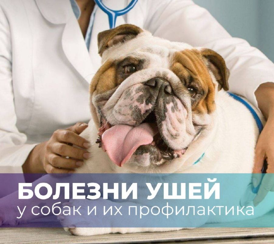 ������� ���� � ����� � �� ������������