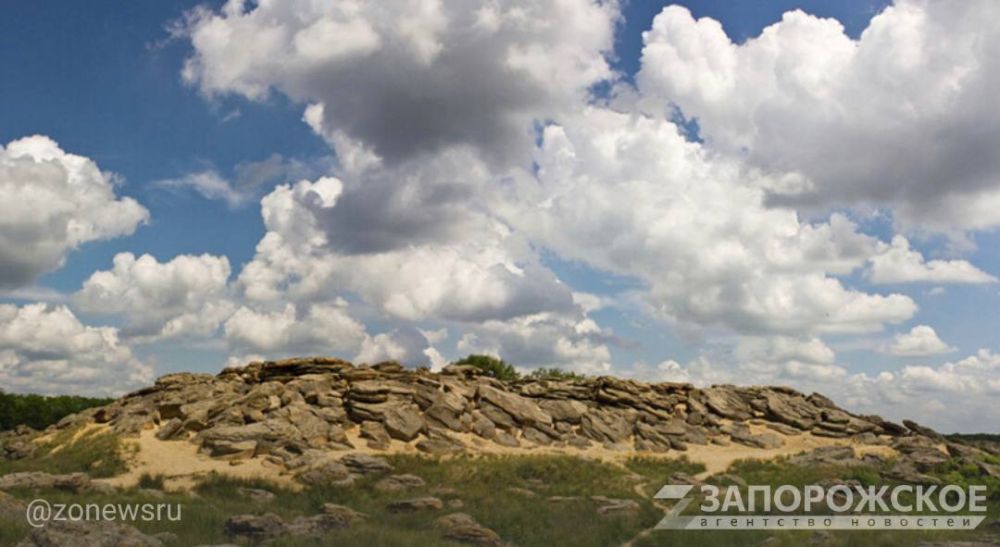 ������� ����������� ������� 12 ��������� ���������� ������������ ��������