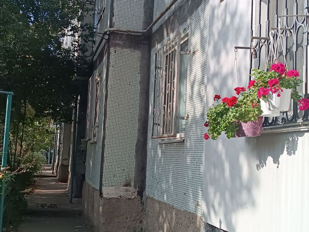 ������� ����, ������ �����!