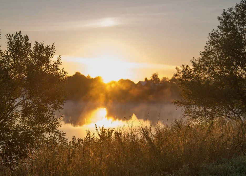 ������� ���� , ������� ������������!