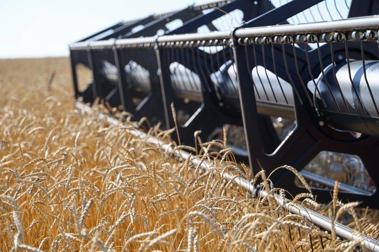 � ������ ���������� ������� ������� ������ �� ������ ��� ����������� ����������������� ��������� (���)